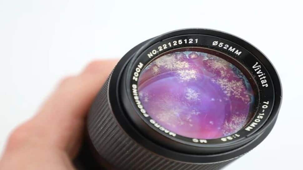 How Lens Fungus Destroys Camera From Within – And What You Can Do About It | Gadgets News