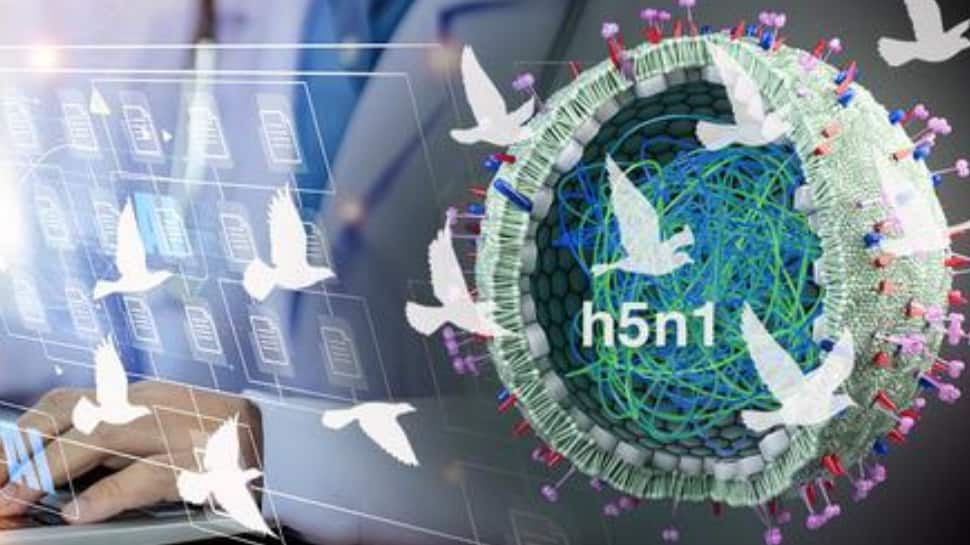 New-Gen AI Tool To Detect Bird Flu Virus Exposure, Boost H5N1 Surveillance | Technology News