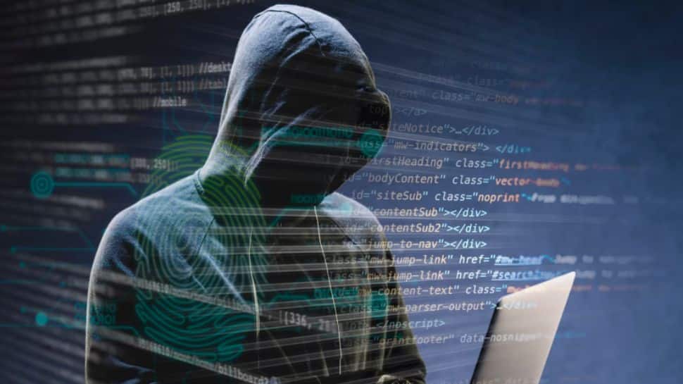 Privacy Regulator Demands Coupang Re-Notify Users Of Data Breach | Technology News